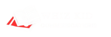 whizkidscommunicationig.com
